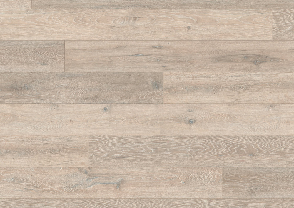 H01 阿爾卑斯橡木